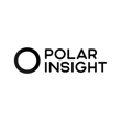 Polar Insight logo